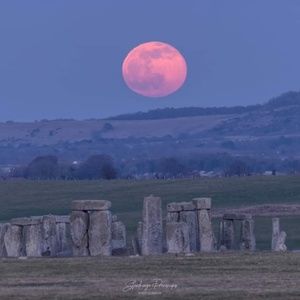 Meet your Posher, Candace